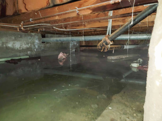 Best Sewage cleanup and water damage restoration  in Brackettville, TX